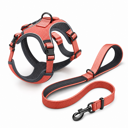 Leashes & Harnesses
