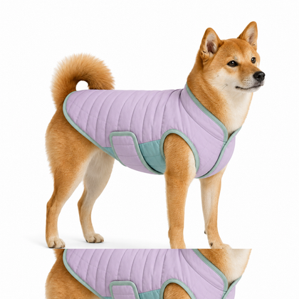 Pet Apparel